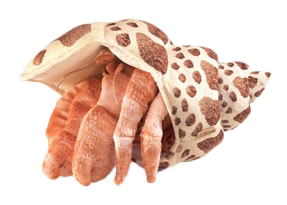 Folkmanis Hermit Crab Hand Puppet