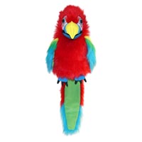 Professional Large Bird Amazon Macaw