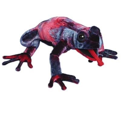 Rainbow Dart Frog 12" Hand Puppet - Click Image to Close