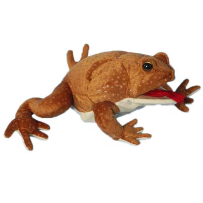 Marine Toad 12" Hand Puppet - Click Image to Close