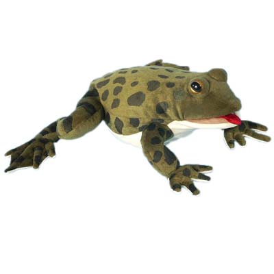 Cape Ghost Frog 12" Hand Puppet - Click Image to Close