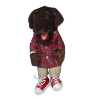 14" Hound Dog Glove Puppet