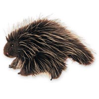 Folkmanis 13" Porcupine Hand Puppet