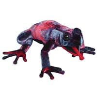 Rainbow Dart Frog 12" Hand Puppet