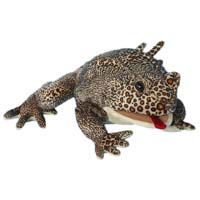 American Toad 12" Hand Puppet