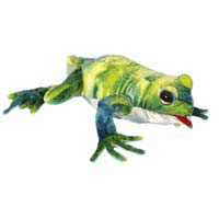 Green Frog 12" Hand Puppet
